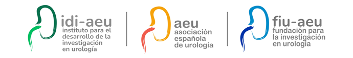 Campus Virtual de la Asociación Española de Urología